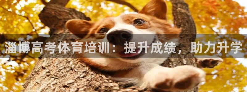 富联娱乐黑吗：淄博高考体育培训：提升成绩，助力升学