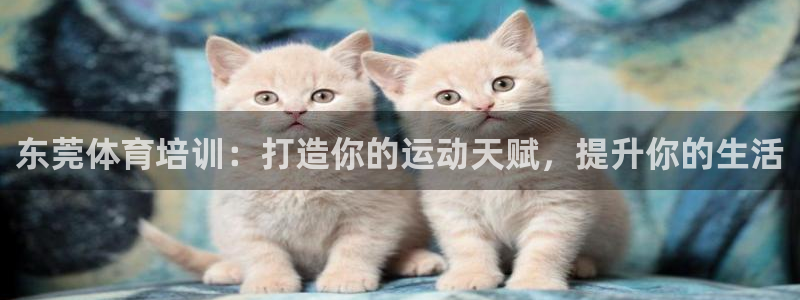 富联是什么软件：东莞体育培训：打造你的运动天赋，提升