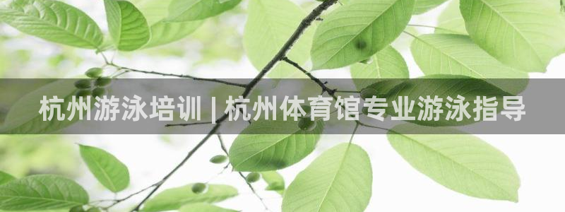 富联娱乐老板是谁：杭州游泳培训 | 杭州体育馆专业游