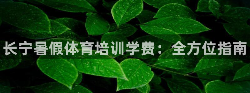 富联是什么平台：长宁暑假体育培训学费：全方位指南