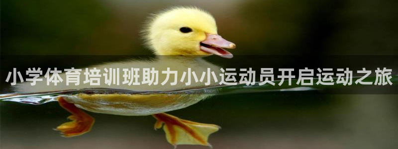 富联包装电话是多少：小学体育培训班助力小小运动员开启