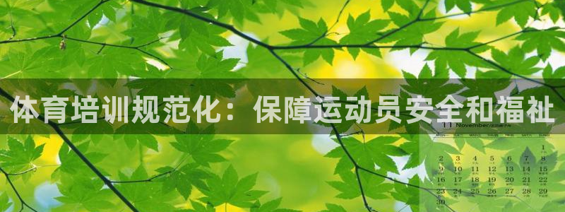 富联股份：体育培训规范化：保障运动员安全和福祉