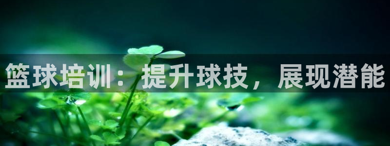 富联娱乐平台怎么样：篮球培训：提升球技，展现潜能