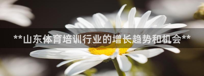 富联官方网站下载安装最新版：**山东体育培训行业的增