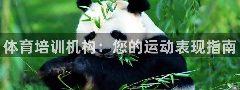 富联平台保7O777：体育培训机构：您的运动表现指南