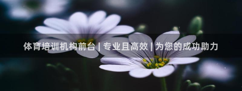 富联娱乐话 5O6917 富联：体育培训机构前台 |