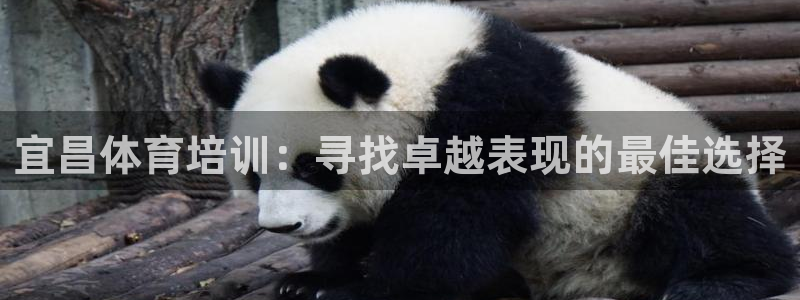 富联娱乐测速登录不了：宜昌体育培训：寻找卓越表现的最