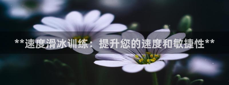 富联集团最新消息新闻：**速度滑冰训练：提升您的速度