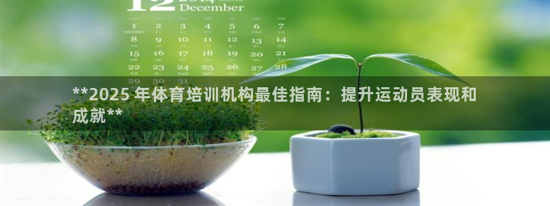富联智能：**2025 年体育培训机构最佳指南：提升