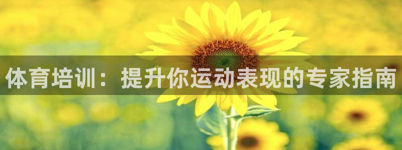 富联平台登录注册流程：体育培训：提升你运动表现的专家