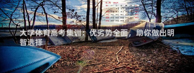 富联平台李 37oo735：大学体育高考集训：优劣势