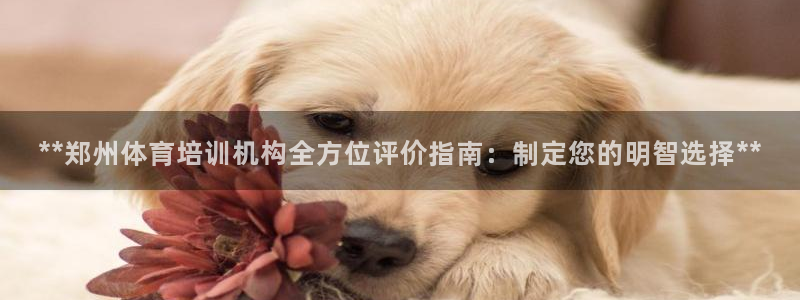 富联娱乐服务站：**郑州体育培训机构全方位评价指南：