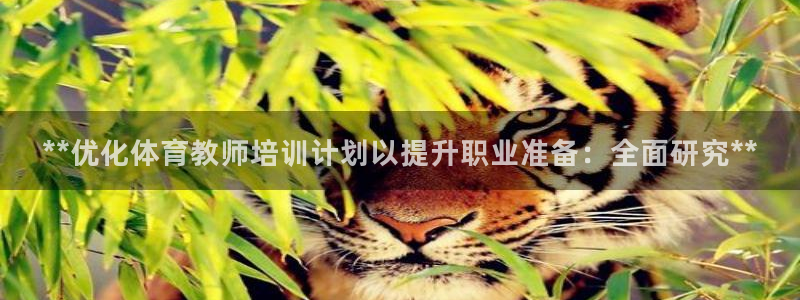 富联丰地产交易平台：**优化体育教师培训计划以提升职
