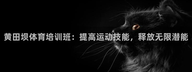 富联平台开户佣金多少：黄田坝体育培训班：提高运动技能，释放无