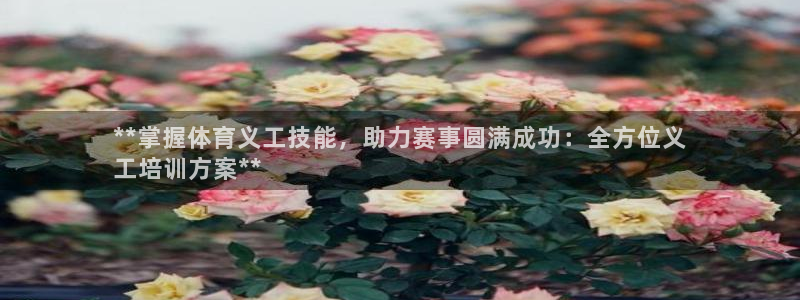 富联平台注册登录不了：**掌握体育义工技能，助力赛事