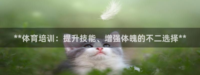 富联图文：**体育培训：提升技能、增强体魄的不二选择