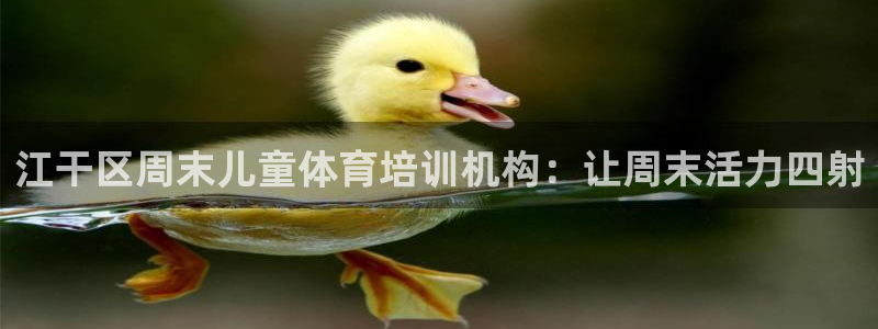 富联平台官网：江干区周末儿童体育培训机构：让周末活力