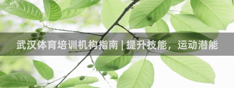 富联文体：武汉体育培训机构指南 | 提升技能，运动潜
