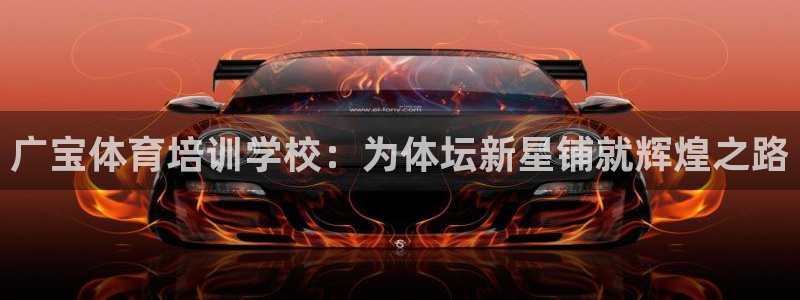 富联平台马 411O31 富联：广宝体育培训学校：为