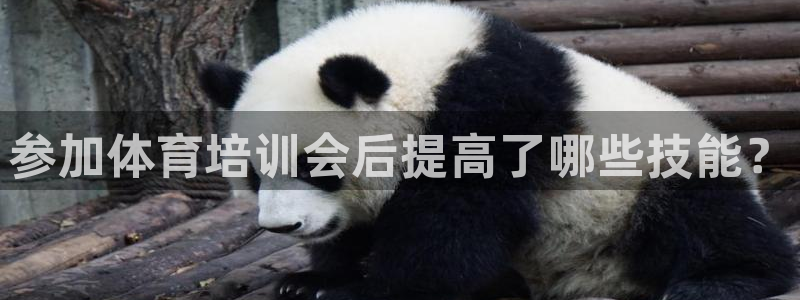 富联娱乐卜6.7.5.1.3.8：参加体育培训会后提