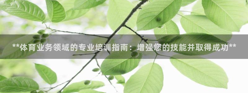富联娱乐测速地址：**体育业务领域的专业培训指南：增