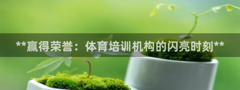 富联平台案7O777：**赢得荣誉：体育培训机构的闪