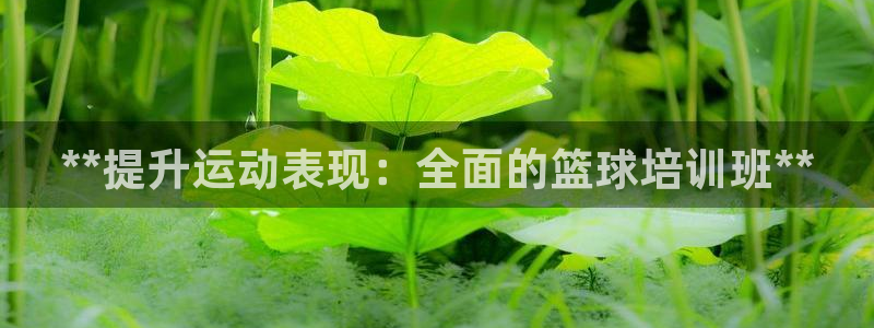 富联平台官网登录入口：**提升运动表现：全面的篮球培