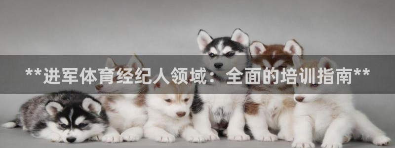 富联是什么软件：**进军体育经纪人领域：全面的培训指