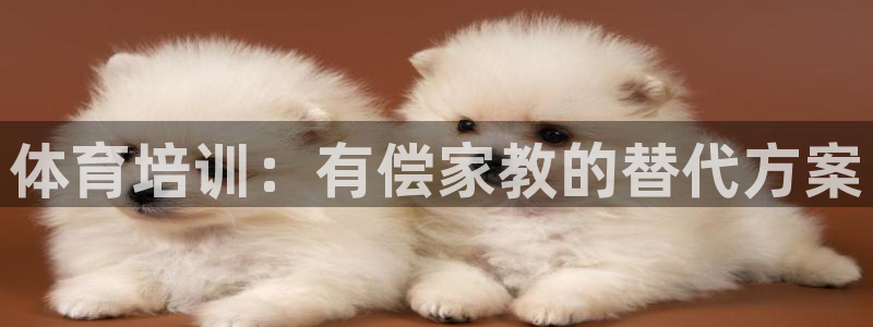 富联娱乐凡六七五一38：体育培训：有偿家教的替代方案