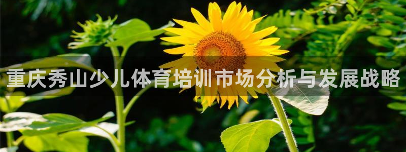 富联平台官网登录入口网址：重庆秀山少儿体育培训市场分