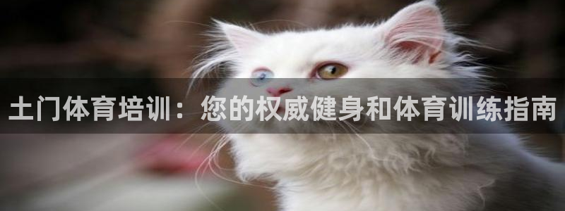 富联申购上市价格预测最新：土门体育培训：您的权威健身