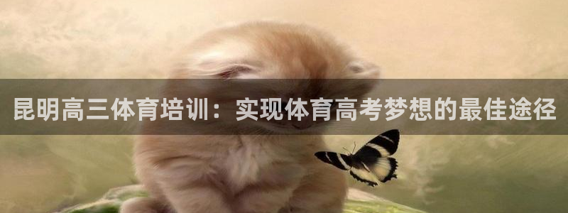 富联平台招 37oo735：昆明高三体育培训：实现体