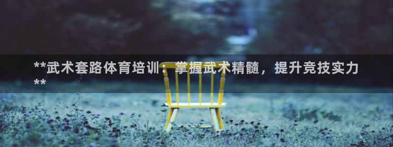 富联工坊：**武术套路体育培训：掌握武术精髓，提升竞技实力
