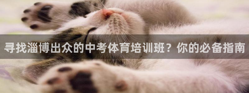 富联平台登录：寻找淄博出众的中考体育培训班？你的必备
