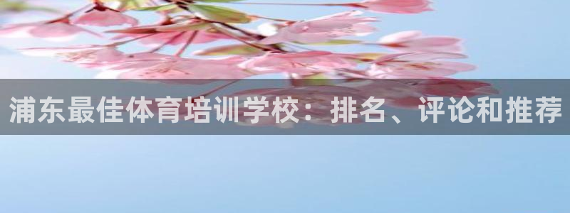 富联股份股票代码：浦东最佳体育培训学校：排名、评论和