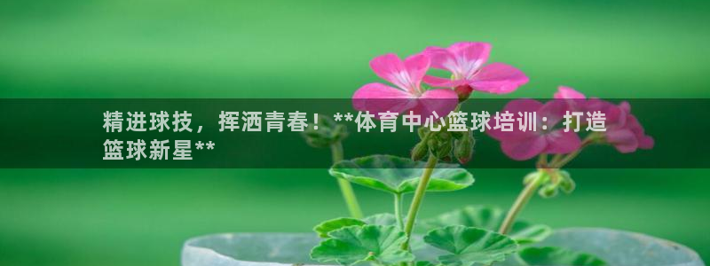 富联官方网站入口下载安装：精进球技，挥洒青春！**体育中心篮
