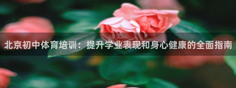富联官方网站入口查询：北京初中体育培训：提升学业表现