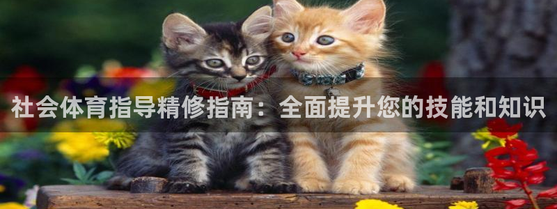 富联平台登录：社会体育指导精修指南：全面提升您的技能