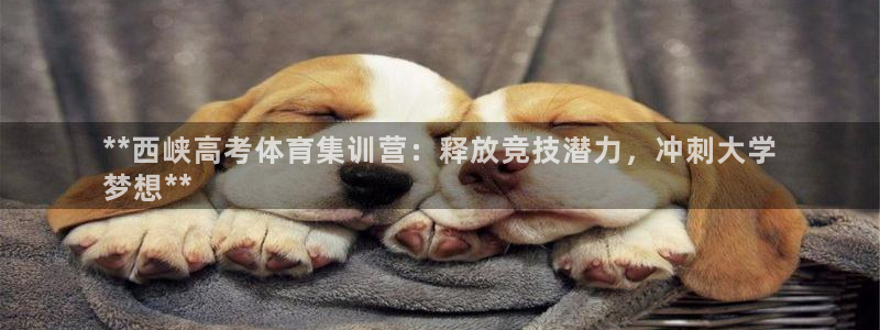 富联集团最新消息今天：**西峡高考体育集训营：释放竞