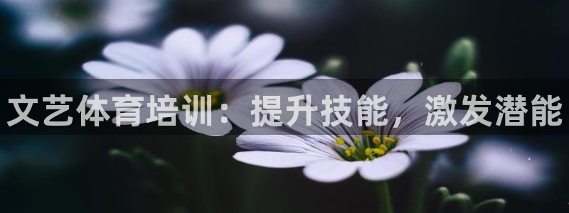 富联平台响7O777：文艺体育培训：提升技能，激发潜能