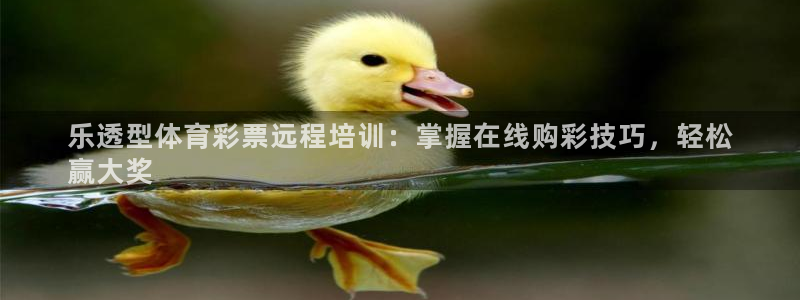富联什么意思：乐透型体育彩票远程培训：掌握在线购彩技