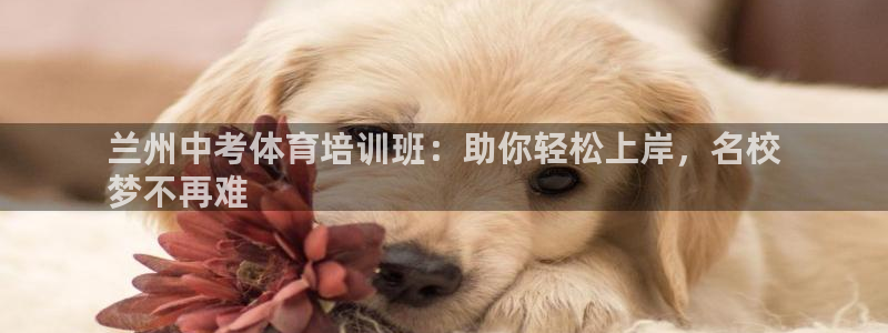 富联集团最新消息今天：兰州中考体育培训班：助你轻松上