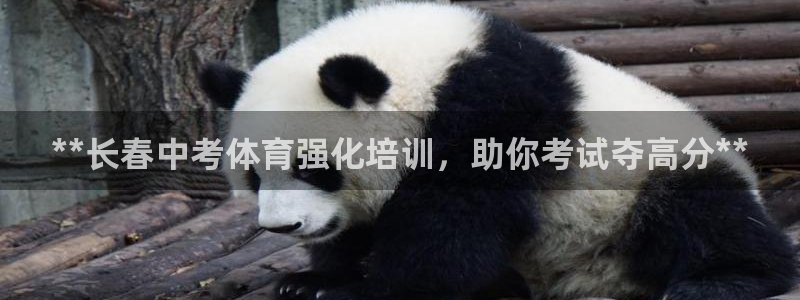 富联平台注册登录不了：**长春中考体育强化培训，助你