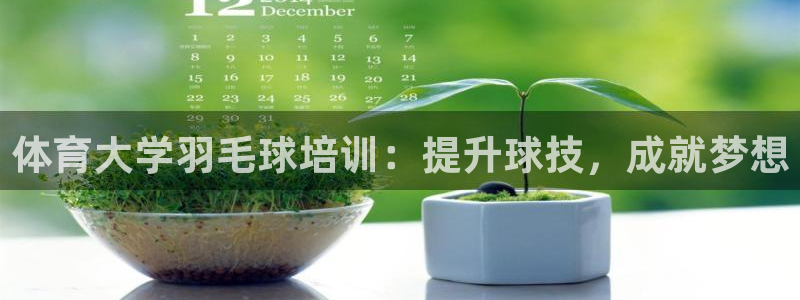富联娱乐官方网站首页登录：体育大学羽毛球培训：提升球