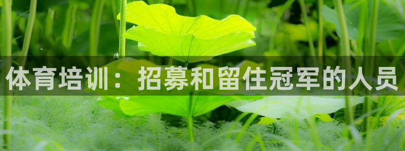 富联工坊：体育培训：招募和留住冠军的人员