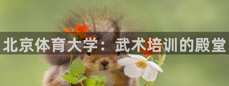 富联娱乐访问中国网站：北京体育大学：武术培训的殿堂