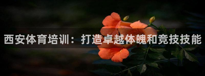 富联平台主管：西安体育培训：打造卓越体魄和竞技技能