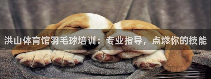 富联娱乐在线注册链接是什么软件：洪山体育馆羽毛球培训：专业指