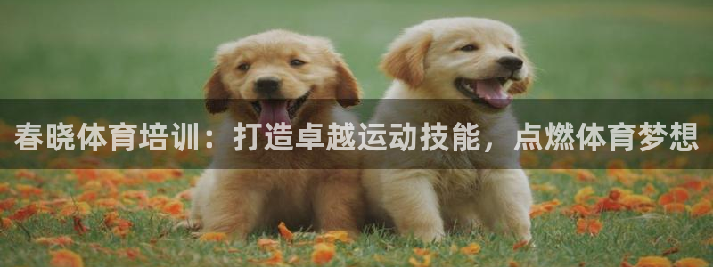 富联娱乐股东名单：春晓体育培训：打造卓越运动技能，点