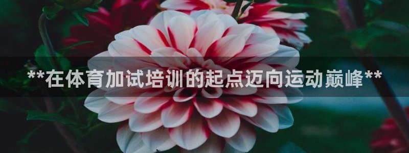 富联娱乐会员账号注销：**在体育加试培训的起点迈向运动巅峰*